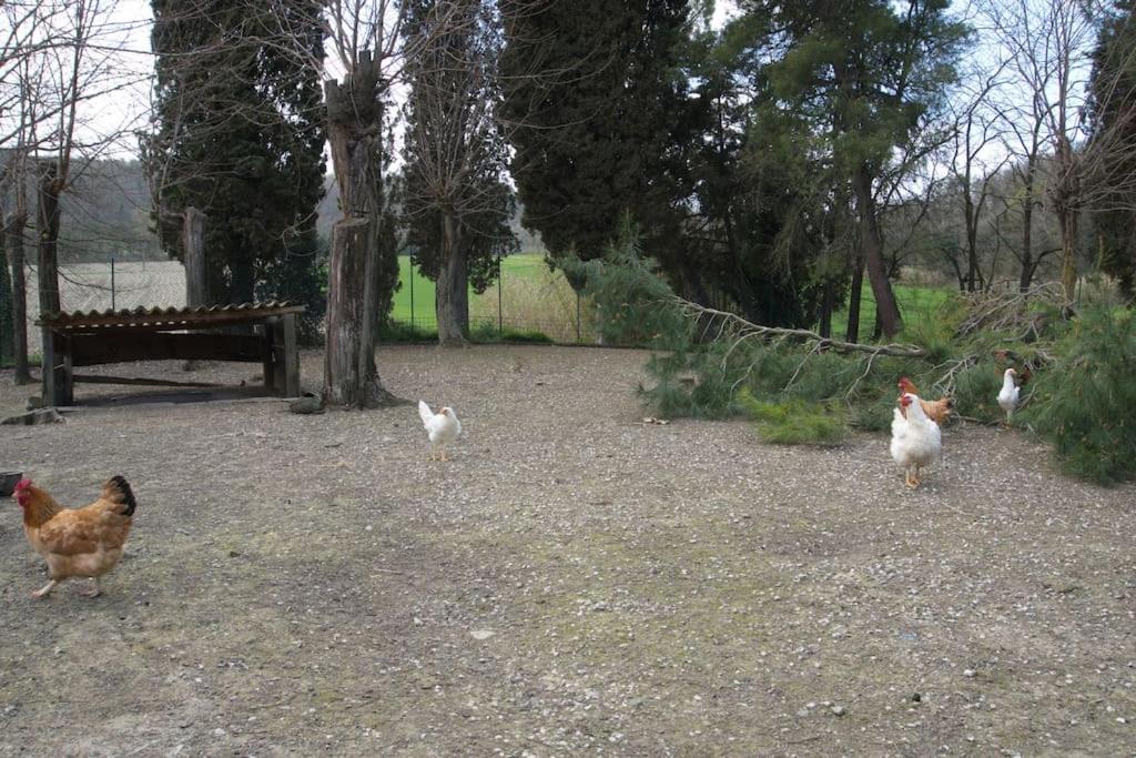 Casa Vacanze Podere San Giusto וולטרה מראה חיצוני תמונה