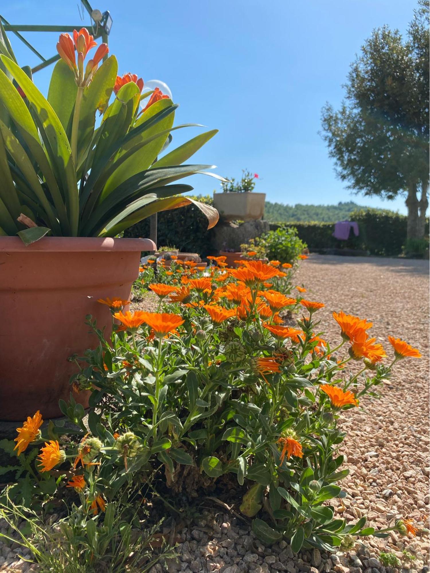 Casa Vacanze Podere San Giusto וולטרה מראה חיצוני תמונה