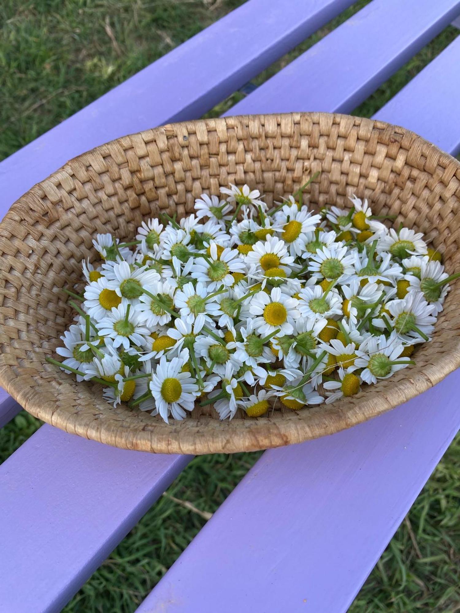 Casa Vacanze Podere San Giusto וולטרה מראה חיצוני תמונה