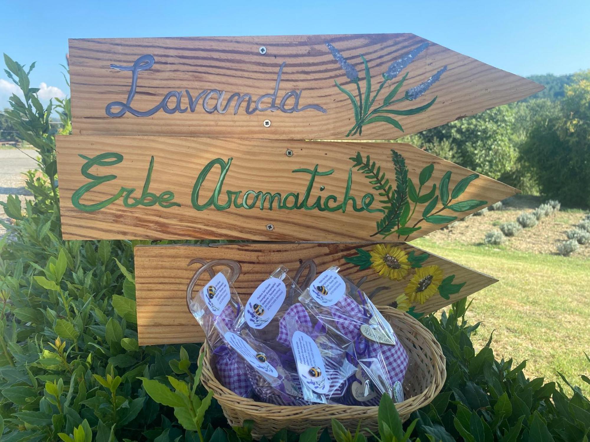 Casa Vacanze Podere San Giusto וולטרה מראה חיצוני תמונה