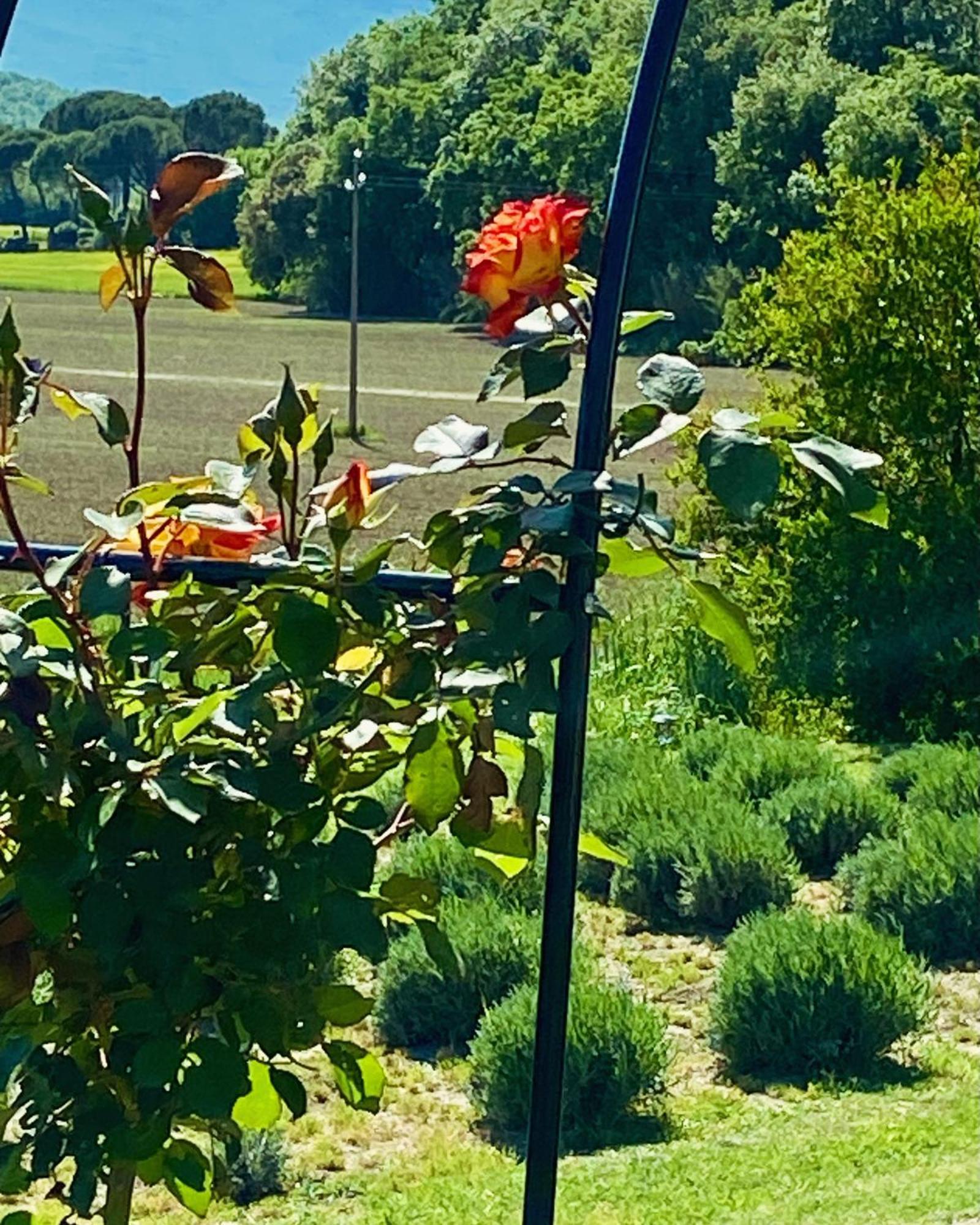 Casa Vacanze Podere San Giusto וולטרה מראה חיצוני תמונה